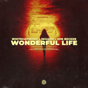 WhiteCapMusic Wonderful Life Music Album in Germany